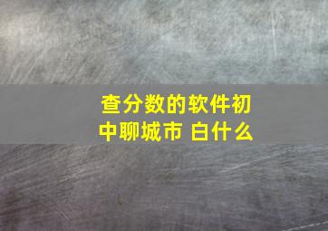 查分数的软件初中聊城市 白什么